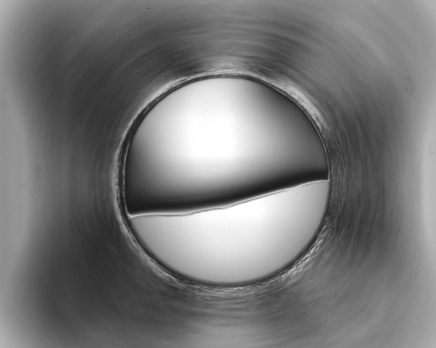 X0000094331142200711021126