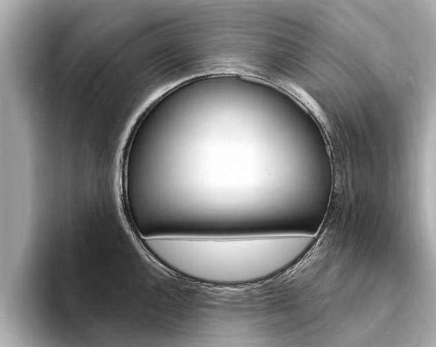 X0000094331144200711021126