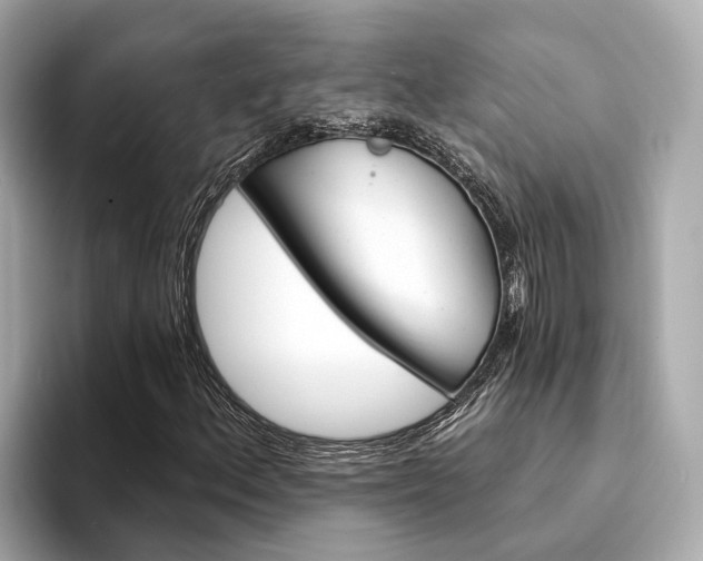 X0000094331156200711021126