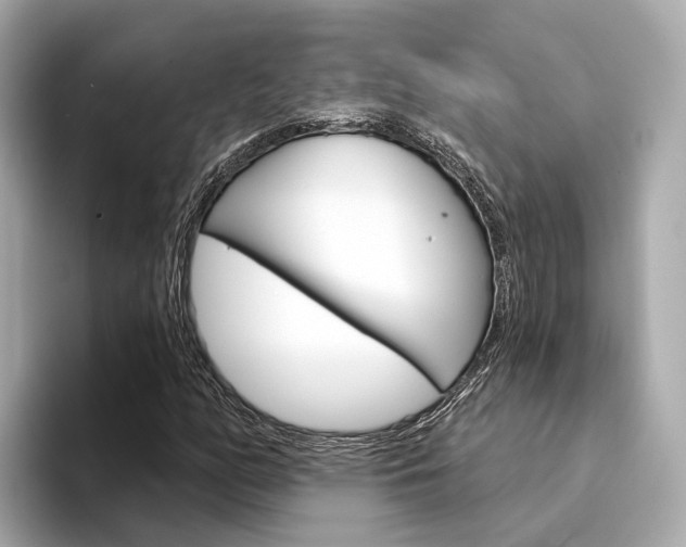 X0000094331158200711021126