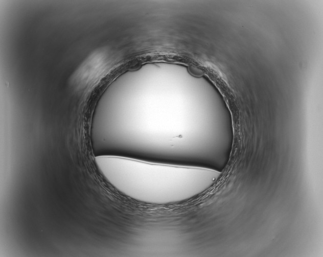 X0000094331159200711021126