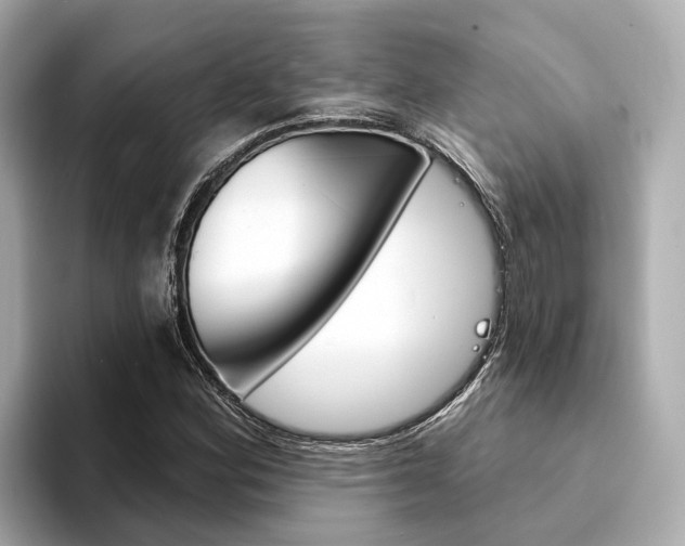 X0000094331164200711021126