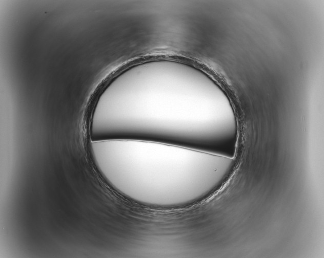 X0000094331167200711021126