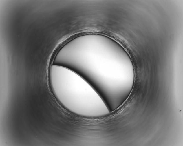 X0000094331168200711021126
