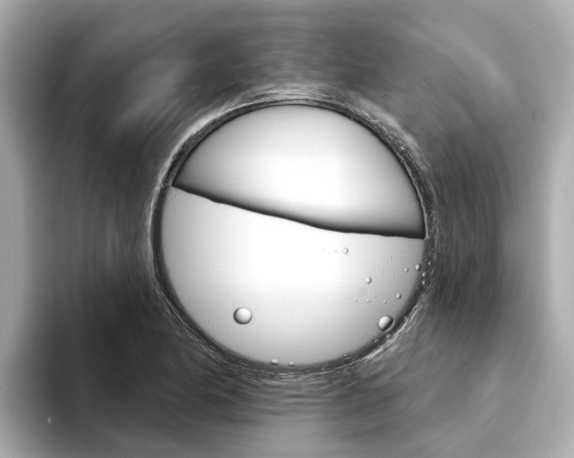 X0000094331174200711021126
