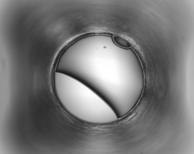 X0000094331175200711021126