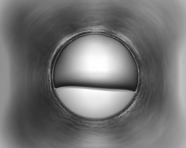 X0000094331176200711021126
