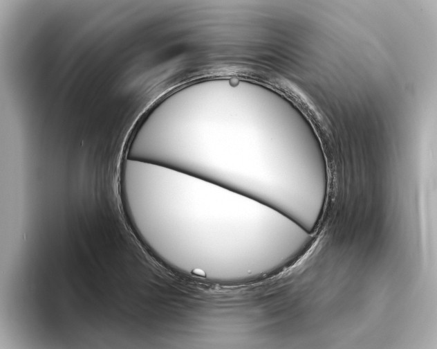 X0000094331178200711021125