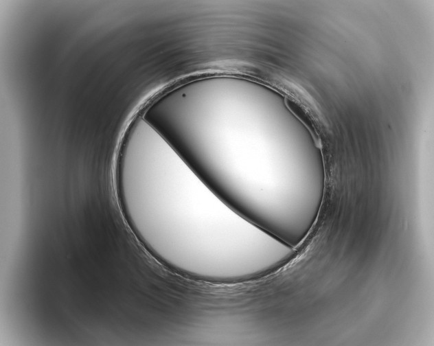 X0000094331180200711021125