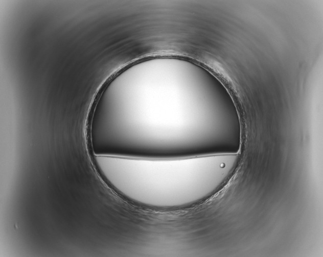 X0000094331181200711021125