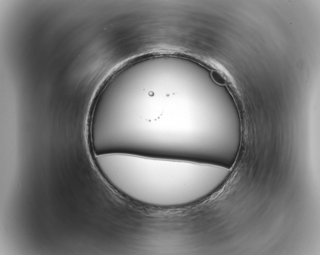 X0000094331183200711021125