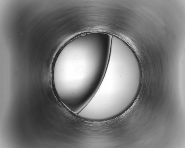 X0000094331184200711021125