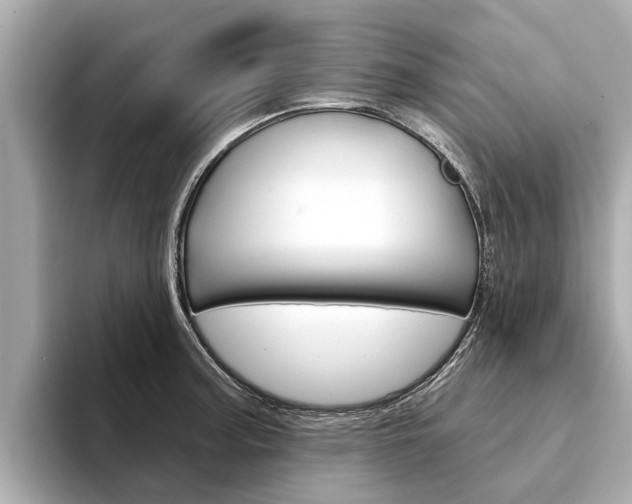 X0000094331187200711021125