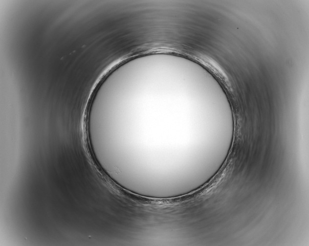 X0000094331190200711021125