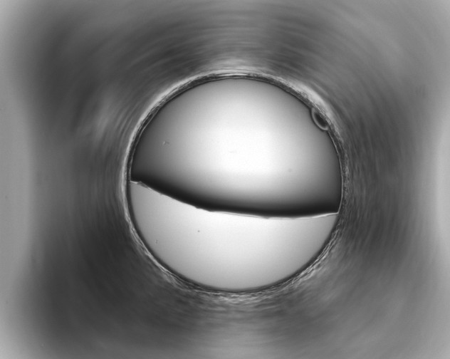 X0000094331191200711021125