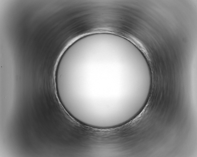 X0000094331192200711021125