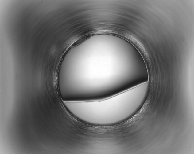 X0000094331193200711021125