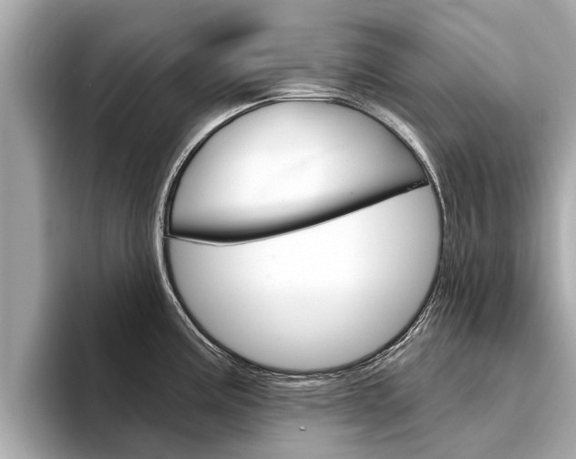 X0000094331195200711021125