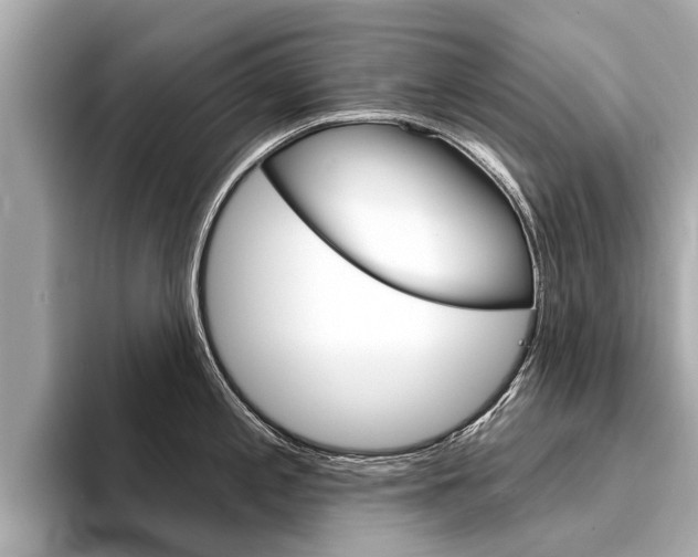 X0000094331197200711021125