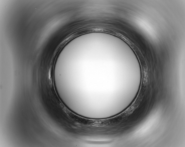 X0000094331198200711021125