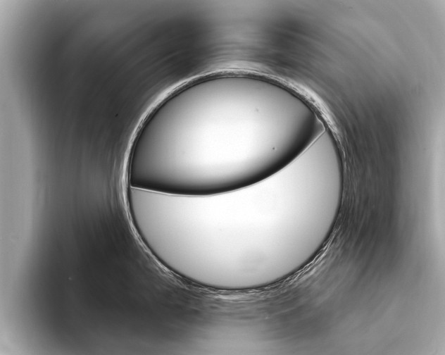 X0000094331199200711021125