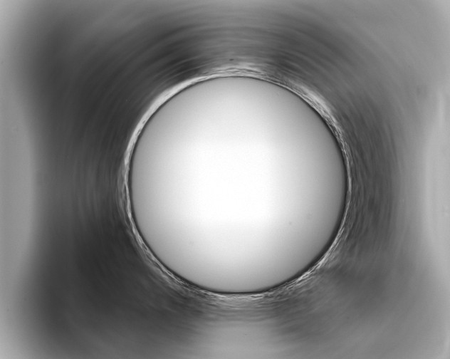 X0000094331200200711021125