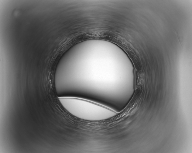 X0000094331202200711021125
