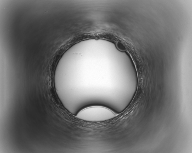 X0000094331205200711021125