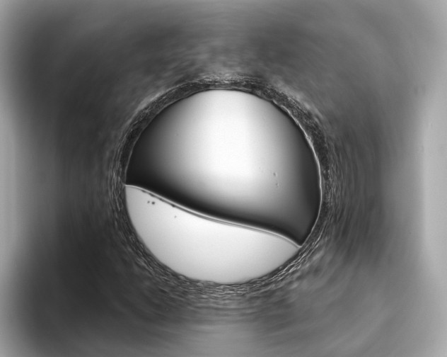 X0000094331206200711021125