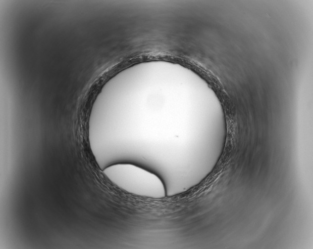 X0000094331207200711021125