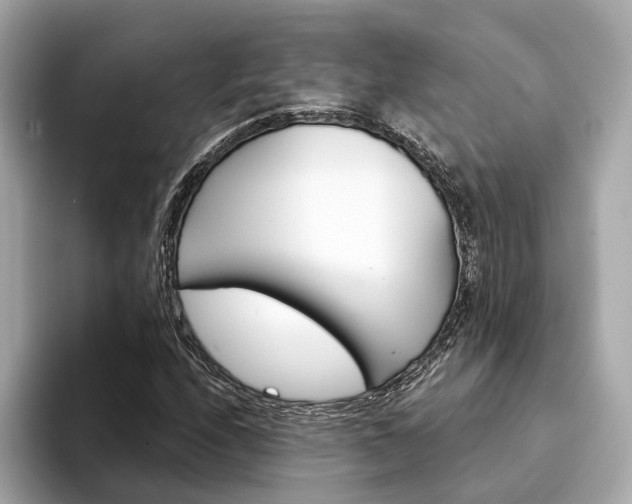 X0000094331208200711021125