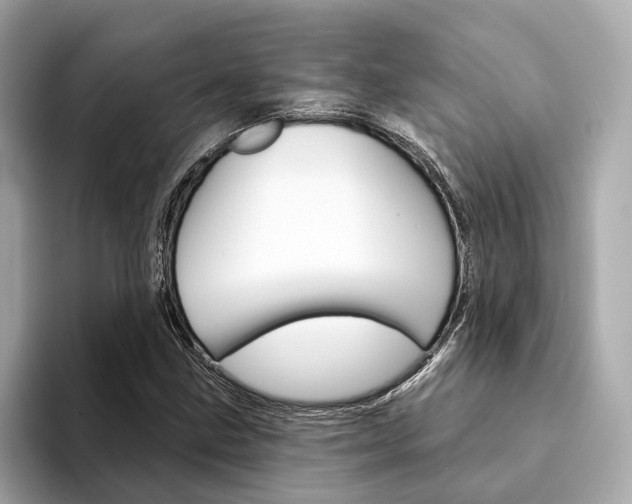 X0000094331211200711021125