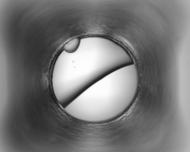 X0000094331212200711021125
