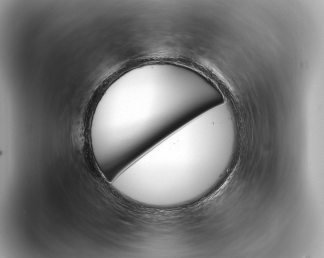 X0000094331213200711021125