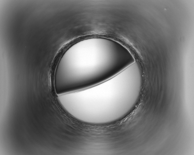 X0000094331214200711021125