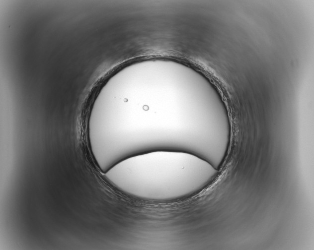 X0000094331215200711021125