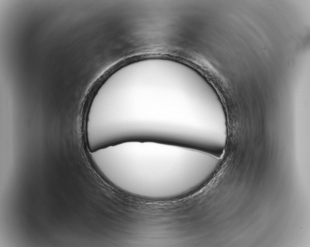 X0000094331216200711021125