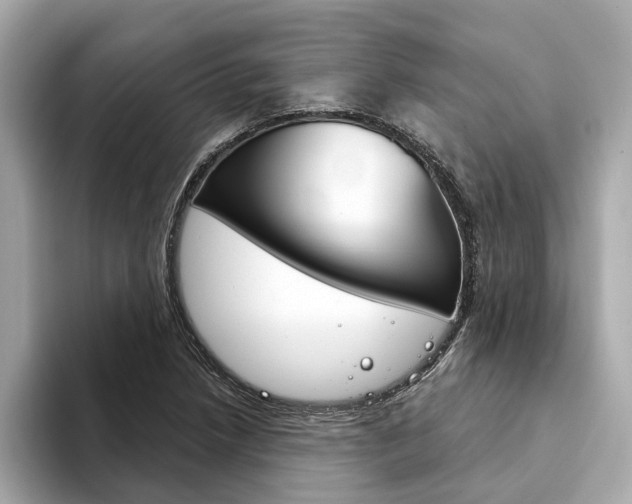 X0000094331218200711021125
