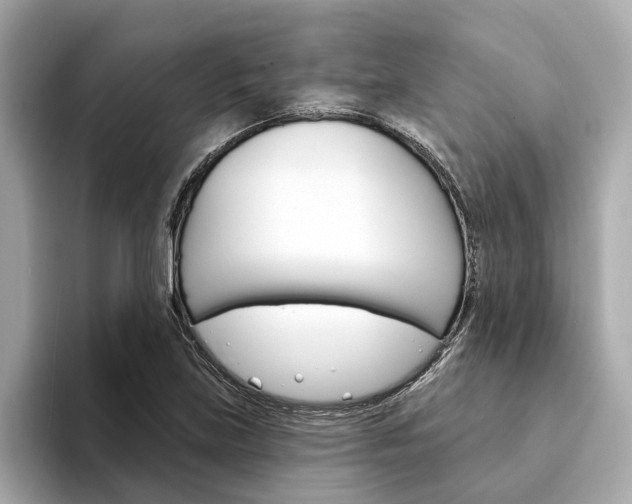 X0000094331219200711021125