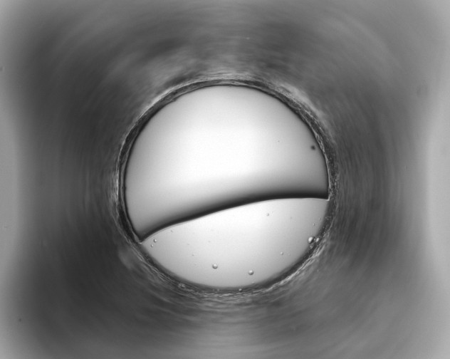 X0000094331220200711021125
