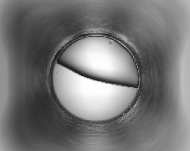 X0000094331221200711021125