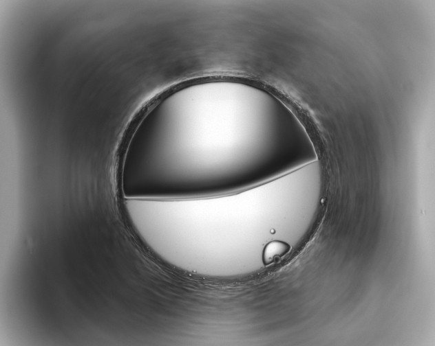 X0000094331222200711021125