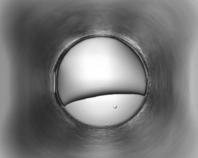 X0000094331223200711021125