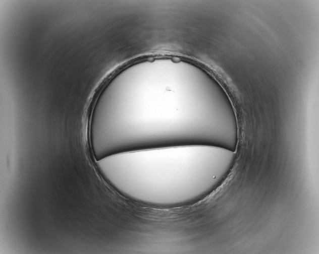 X0000094331224200711021125
