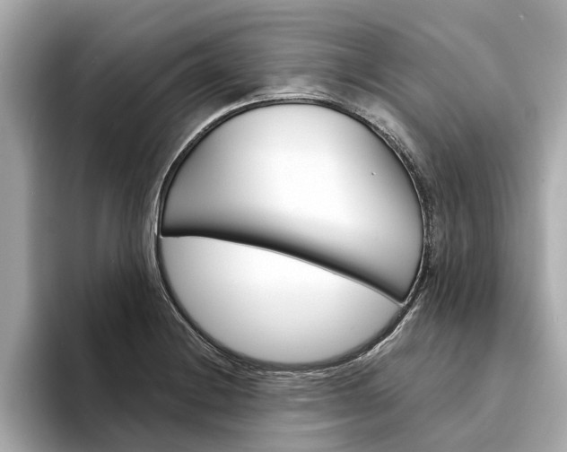 X0000094331228200711021125