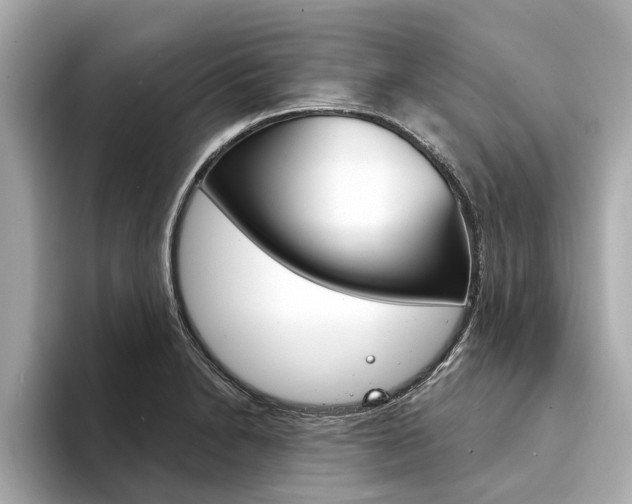 X0000094331230200711021125
