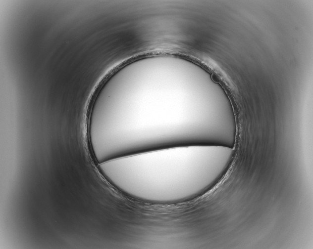 X0000094331232200711021125