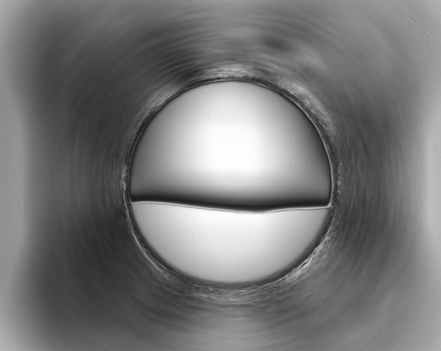 X0000094331233200711021125