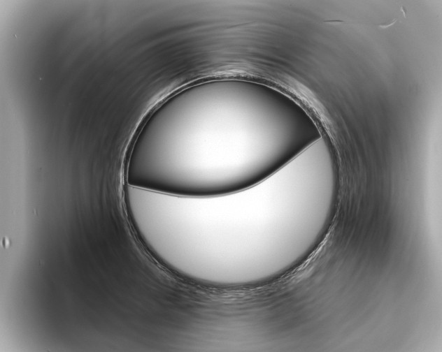 X0000094331234200711021125