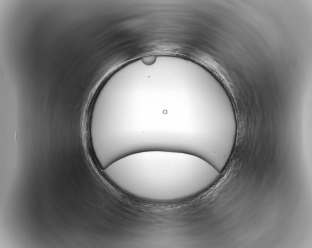 X0000094331235200711021125